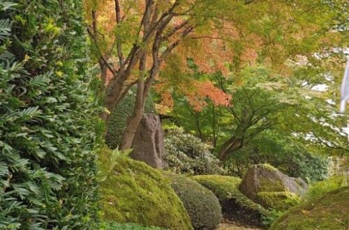 Herbst